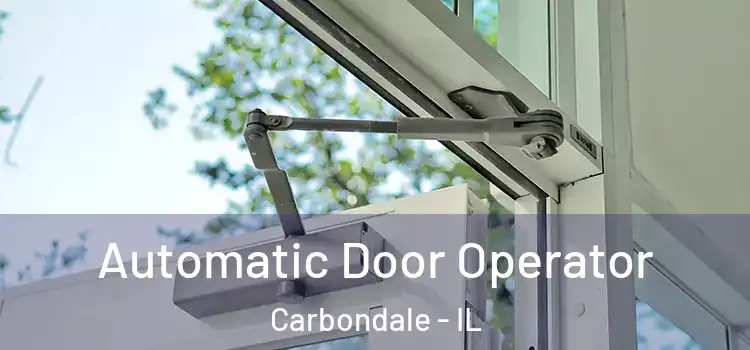 Automatic Door Operator Carbondale - IL