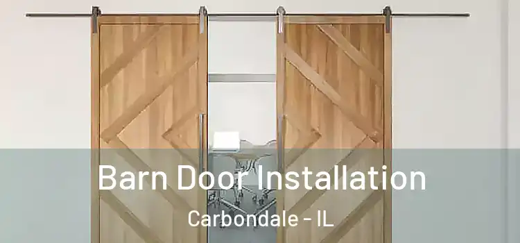 Barn Door Installation Carbondale - IL