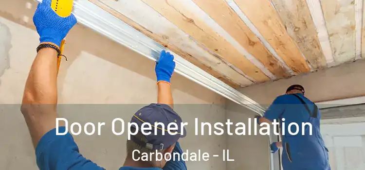  Door Opener Installation Carbondale - IL