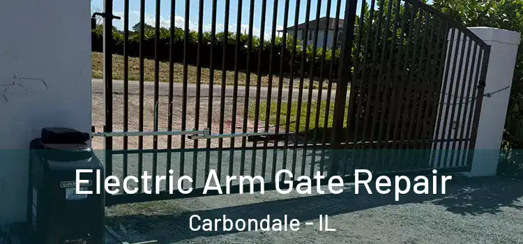 Electric Arm Gate Repair Carbondale - IL