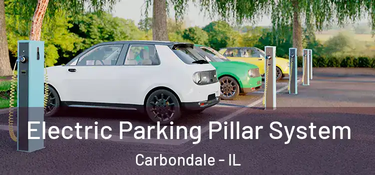  Electric Parking Pillar System Carbondale - IL