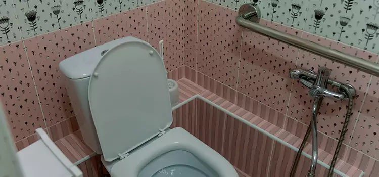 Meeting Diverse Needs With Accessible Restroom Solutions in Carbondale, IL