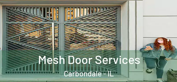 Mesh Door Services Carbondale - IL