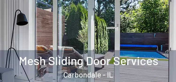  Mesh Sliding Door Services Carbondale - IL